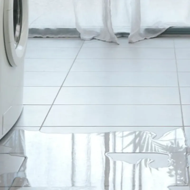 Appliance Leak Cleanup in Indian River Shores, FL